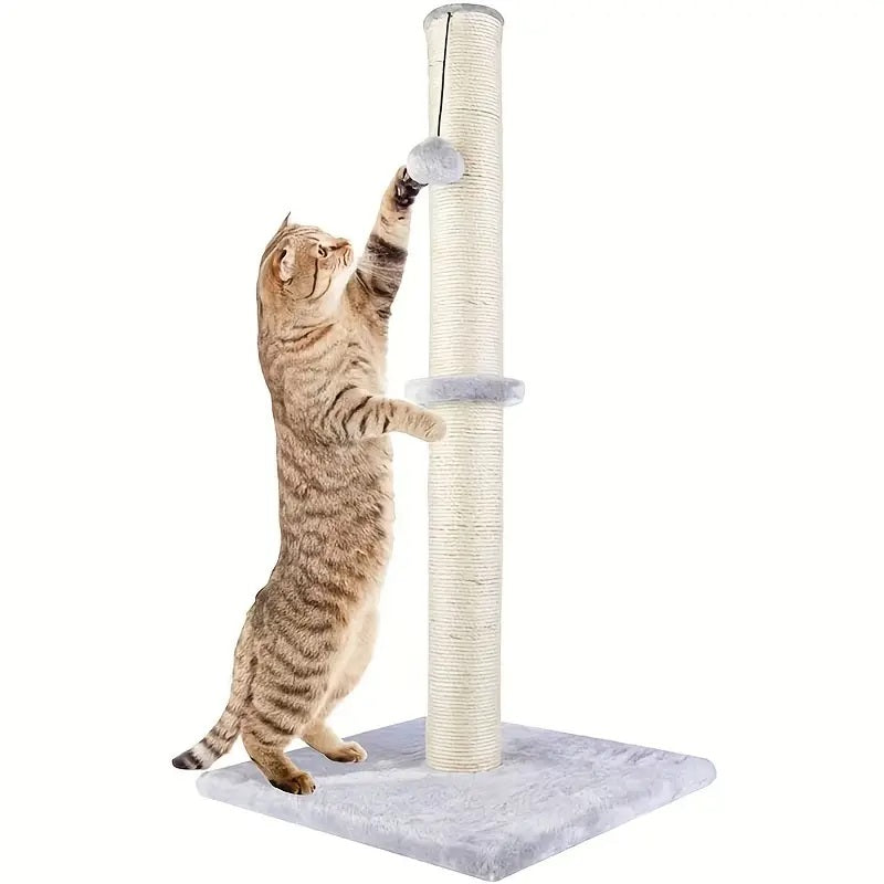 Cat Scratching Post