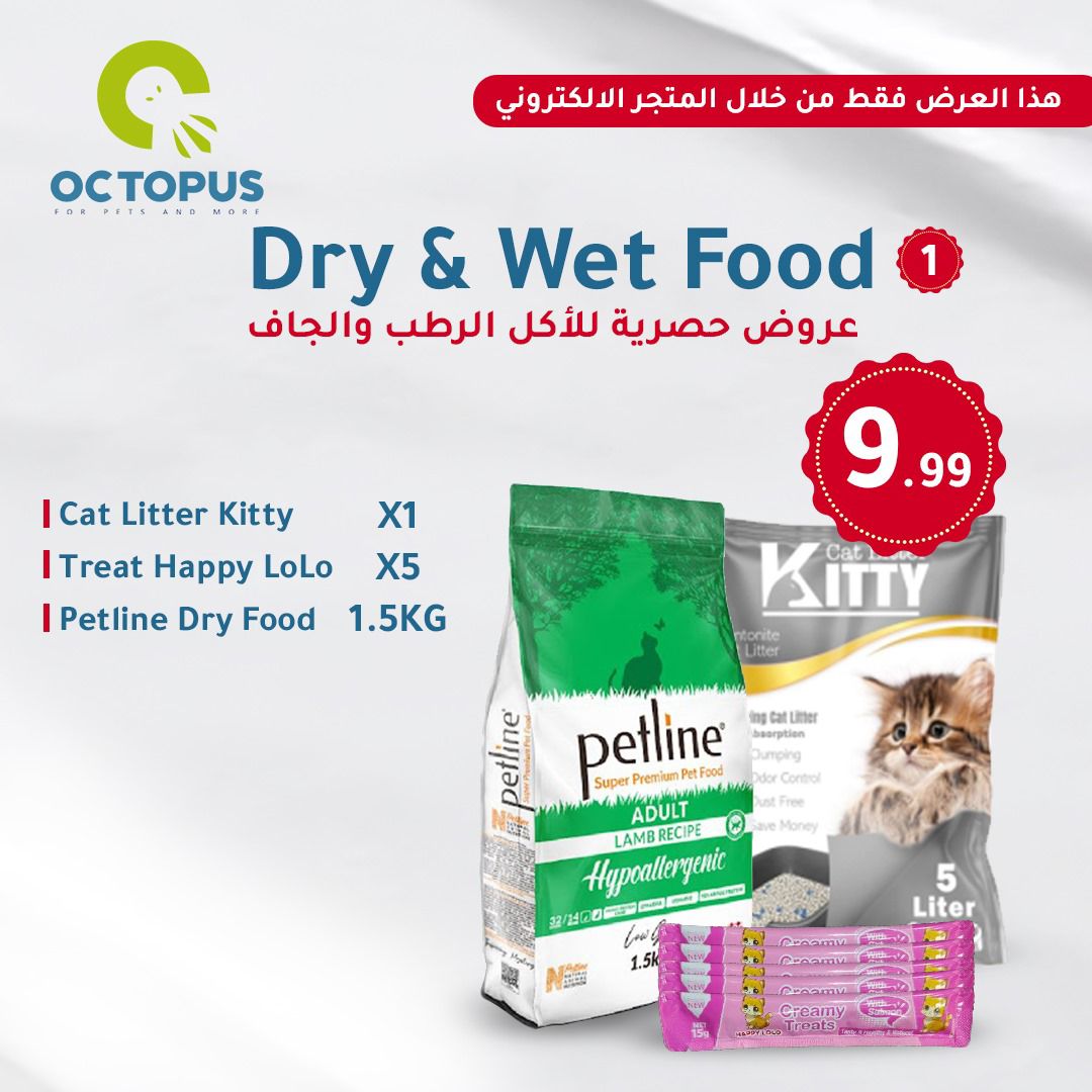 Dry & Wet Food 1