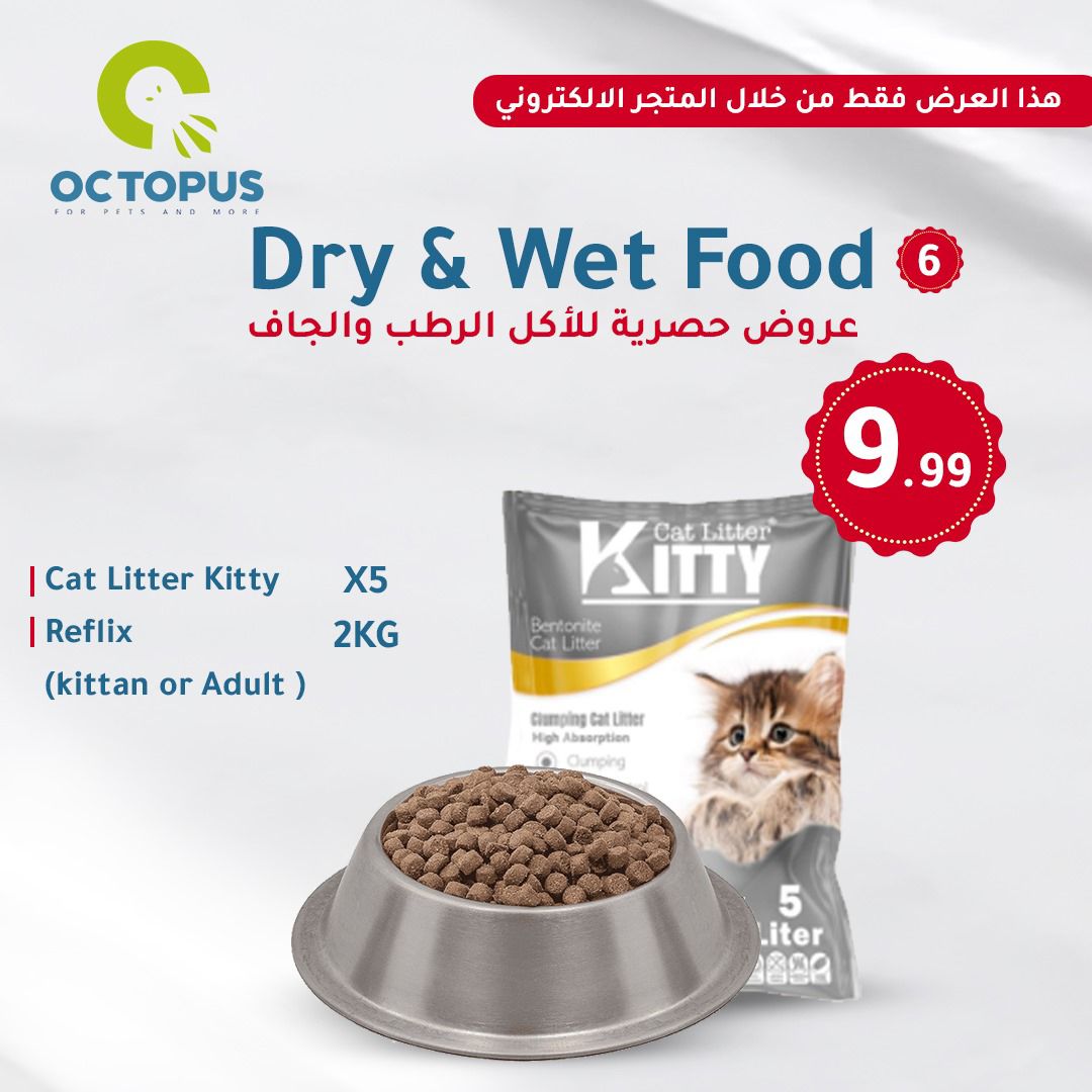 Dry & Wet Food 6