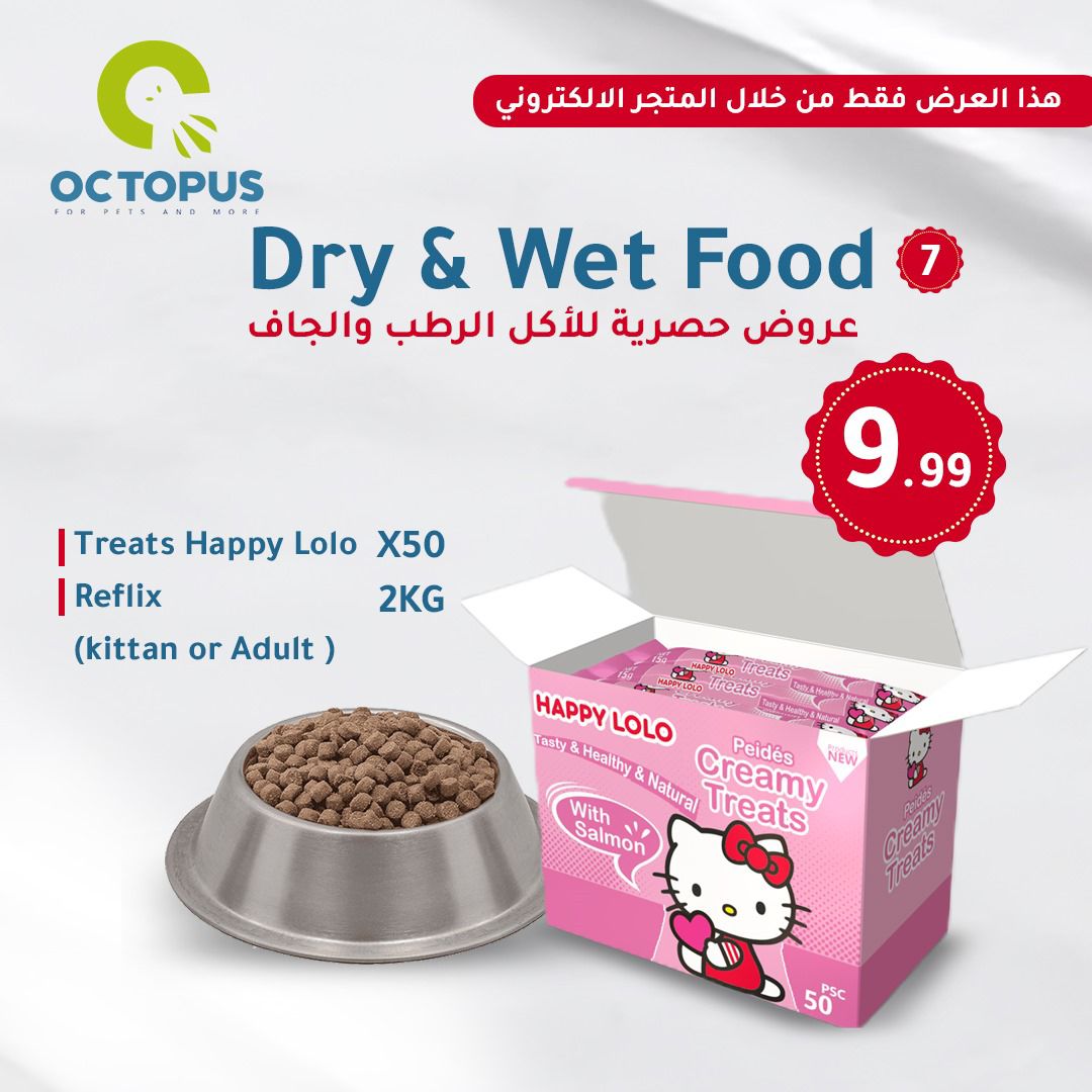 Dry & Wet Food 7