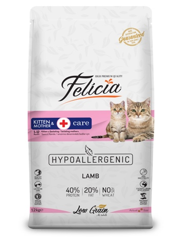 Felicia kitten and mother 12 kg‏