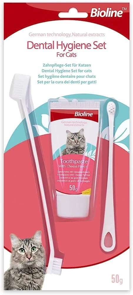 dental hygienist pet pioline