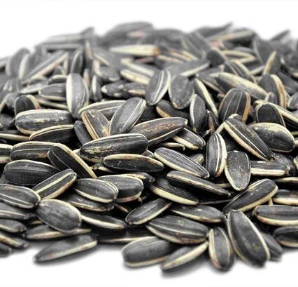 Large seed melon, 20 Kg bag