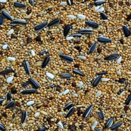 Lovebirds Mix, 20 kg bag