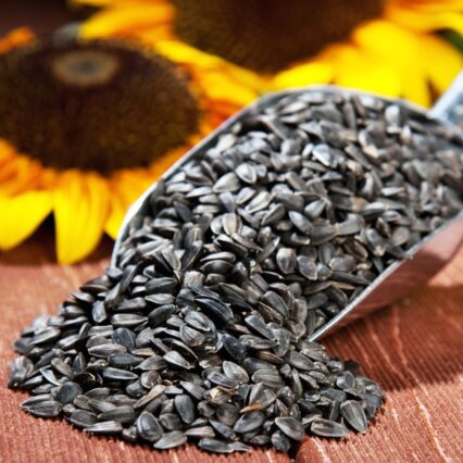 Small seed melon 20 Kg bag