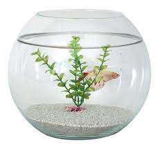 باول بلاستيك حجم وسط - 20 سم