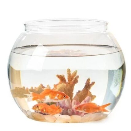 باول زجاج حجم صغير - 15 سم