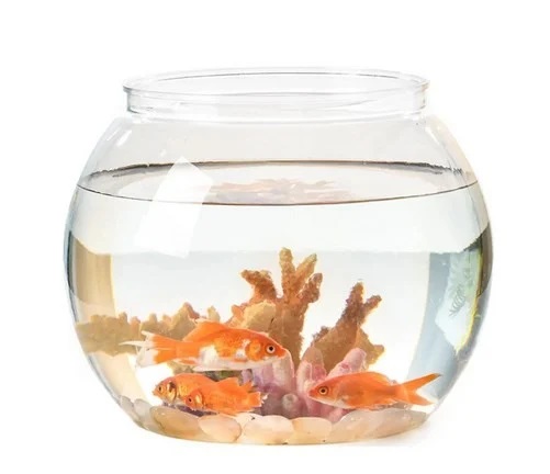 باول زجاج حجم صغير - 15 سم