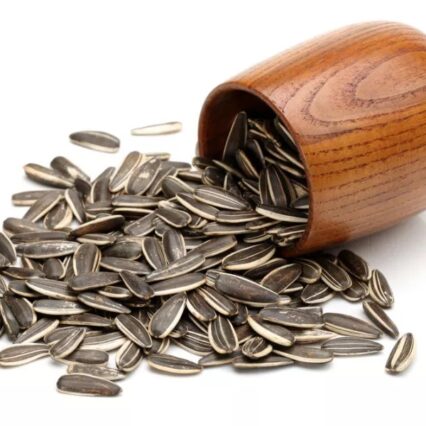 Large sunflower seeds for parrots, 1 kg