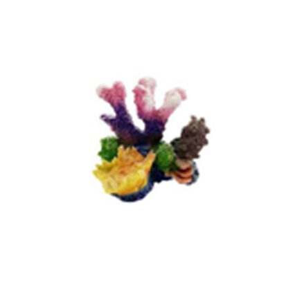 زينة حوض سمك - مرجان