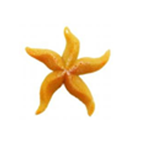 زينة حوض سمك - نجمة