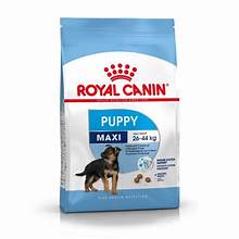 Royal Canin Maxi Puppy 10kg