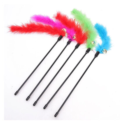 ريشة مميزة للقطط - بأشكال مختلفة