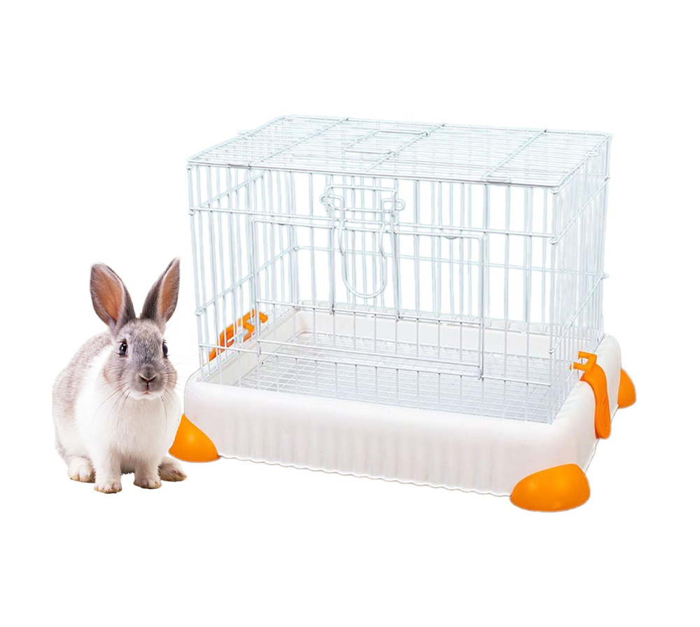 قفص للأرانب
