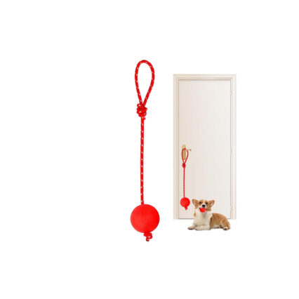 عضاضة للكلاب كرة مع حبل مقاوم للعض - حجم وسط