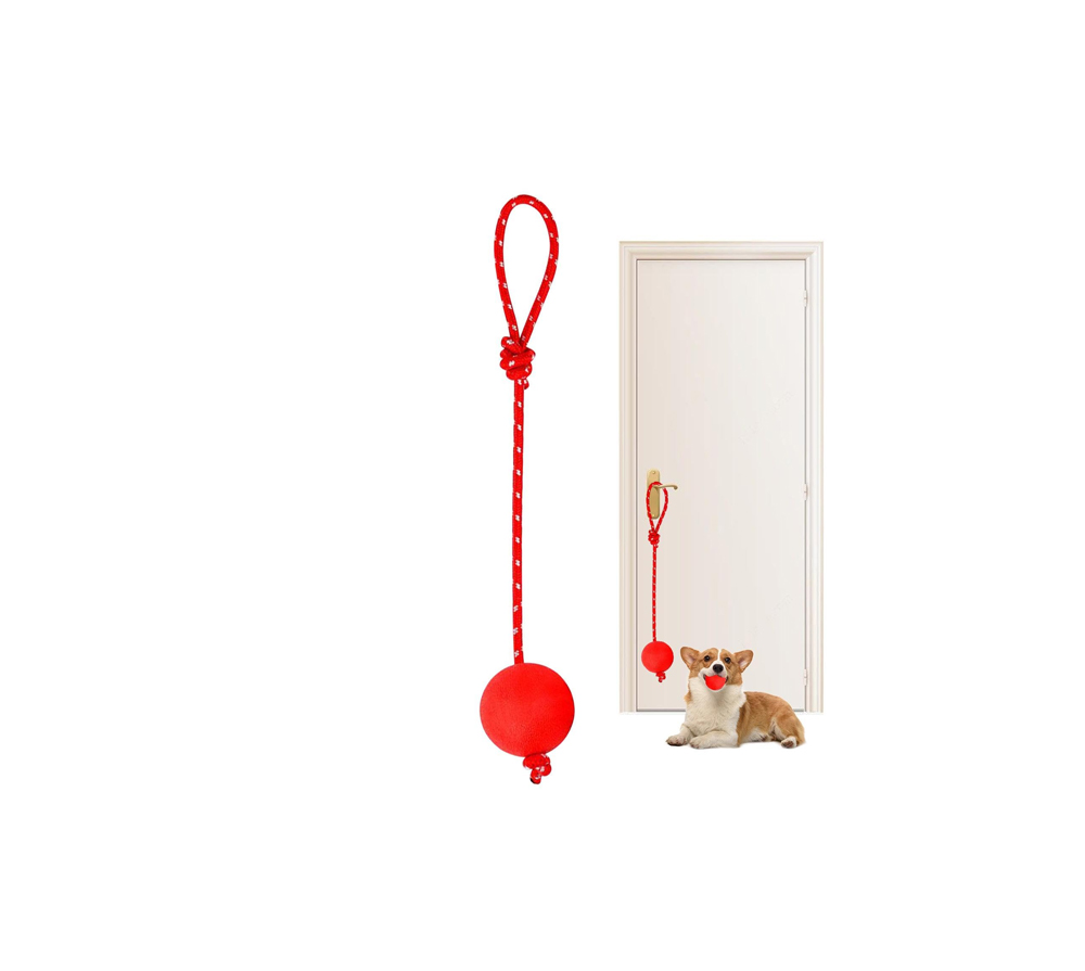 عضاضة للكلاب كرة مع حبل مقاوم للعض - حجم كبير