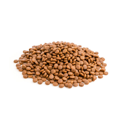 طعام جاف للكلاب ادلت بالوزن - 1 كيلو