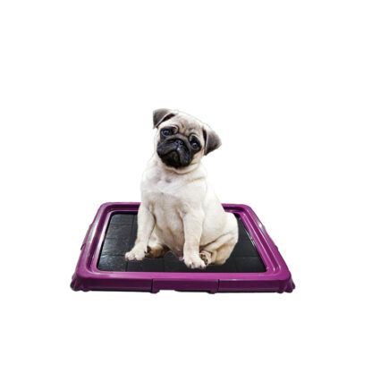 قاعدة بادز - حجم صغير