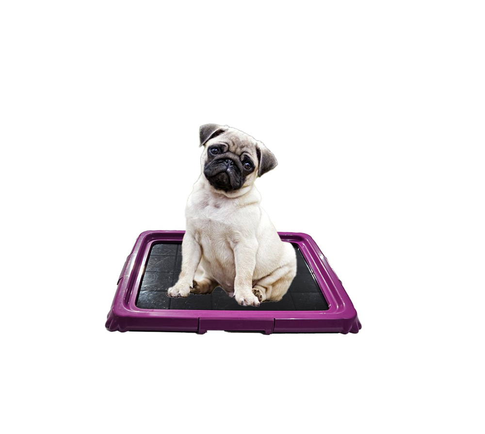 قاعدة بادز - حجم صغير