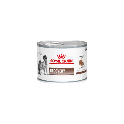 رويال كانين الرطب البيطري للكلاب والقطط - 195 غرام