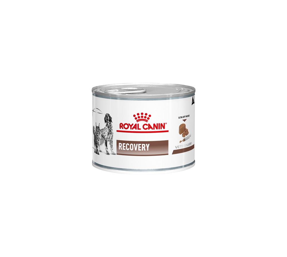 رويال كانين الرطب البيطري للكلاب والقطط - 195 غرام